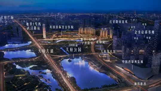 租房新趋势：成都市场动态解析