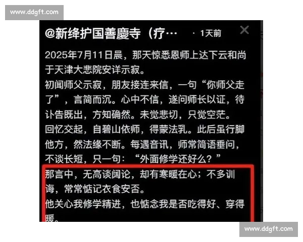 去向成谜背后真相浮出水面的一段离奇消失故事调查全程追踪始末