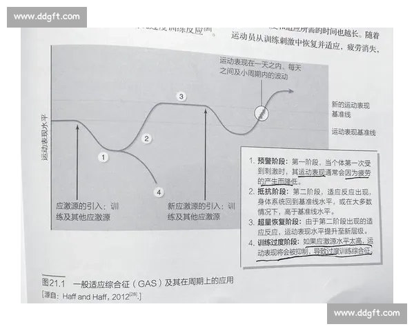科学运动促进身心健康与体能提升的高效全面生活方式实践规划指南